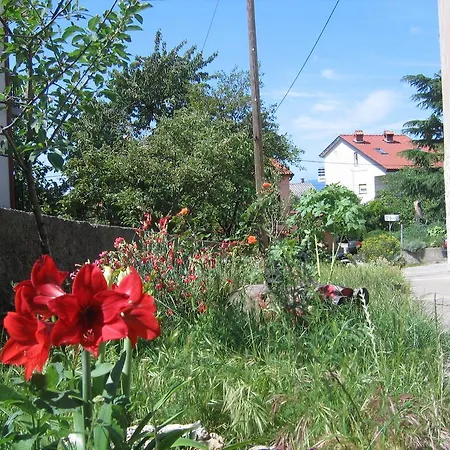 Cvjetna