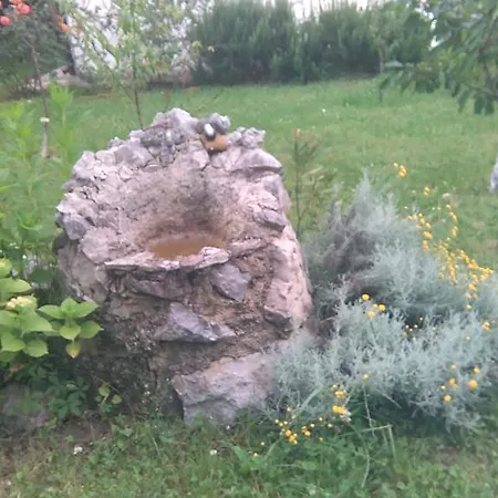 Apartament Cvjetna *