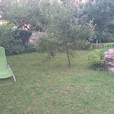 Cvjetna