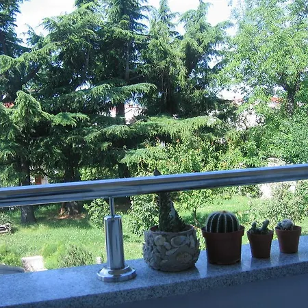Apartman Cvjetna *