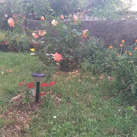 公寓 赛维杰纳公寓