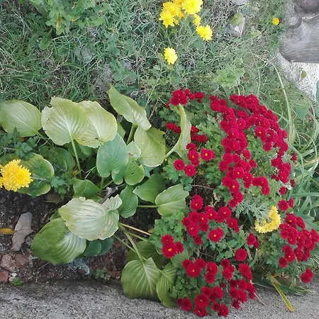 公寓 赛维杰纳公寓