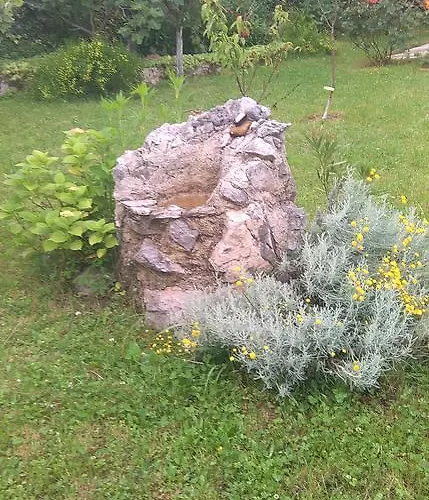 Daire Cvjetna Rijeka